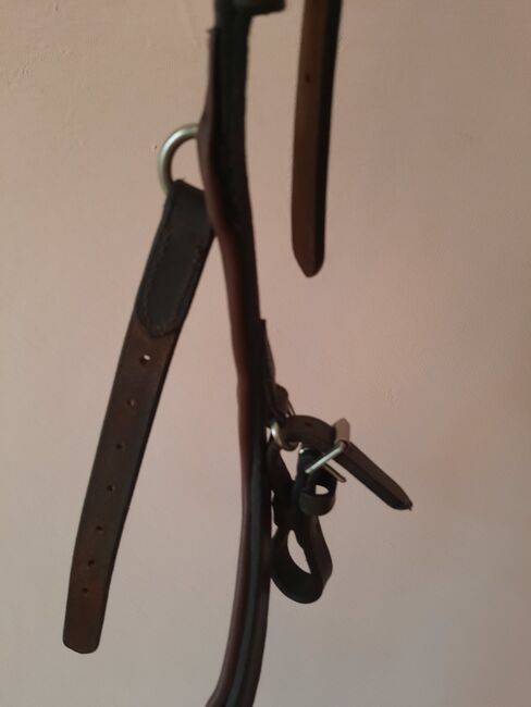 Rambo Micklem Competition Bridle, Micklem Rambo Competition , Claudia , Bridles & Headstalls, Traunreut, Image 3