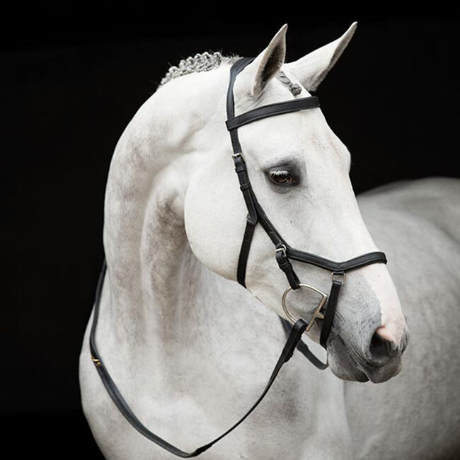 Used Horseware Rambo Micklem “Original Competition Bridle” braun COB