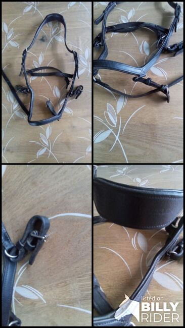 Rambo Micklem WB, Rambo Micklem , Maike , Nosebands, Münster, Image 5