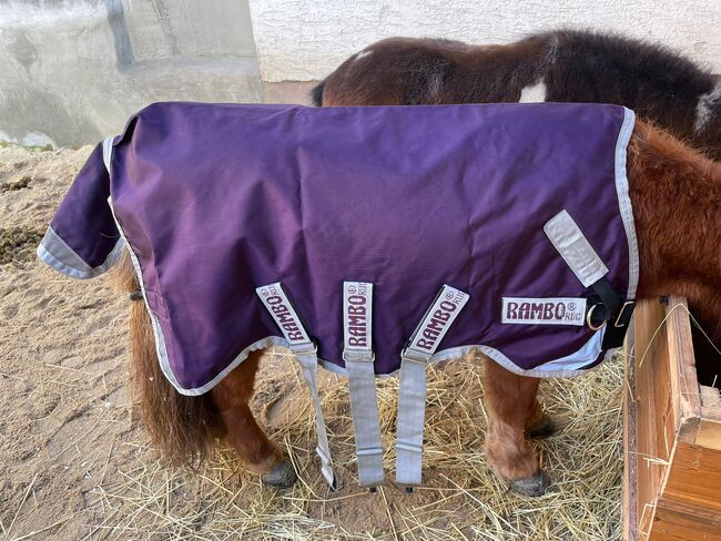 Rambo Regendecke Mini Shetty/ Fohlen, Rambo Regendecke , Sonja, Horse Blankets, Sheets & Coolers, Bad Nauheim