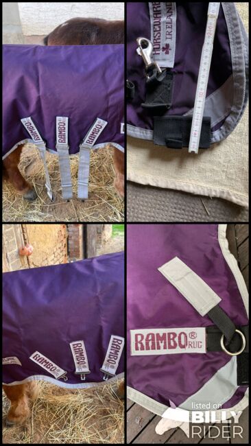 Rambo Regendecke Mini Shetty/ Fohlen, Rambo Regendecke , Sonja, Horse Blankets, Sheets & Coolers, Bad Nauheim, Image 13