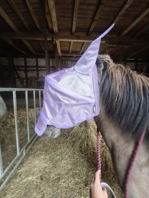 Rambo Fliegenmaske Lavendel Full, Rambo , Vivienne Metzger , Fly & Insect Control, Eschwege