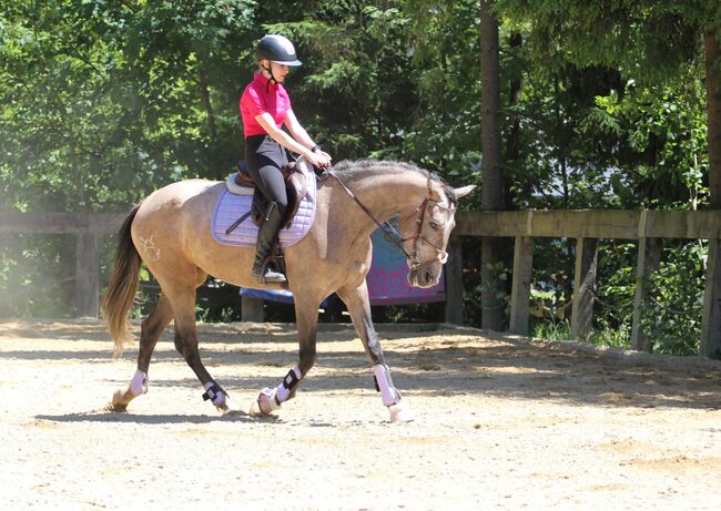 reinrassige andalusische Stute PRE TOP Bewegung, Rafal, Horses For Sale, Nowy Targ, Image 3