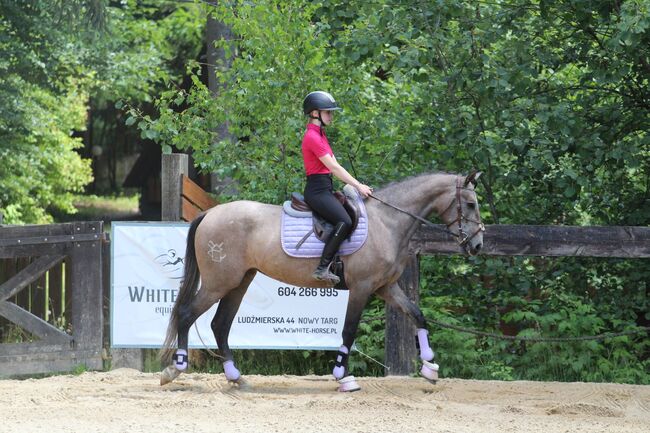 reinrassige andalusische Stute PRE TOP Bewegung, Rafal, Horses For Sale, Nowy Targ, Image 4