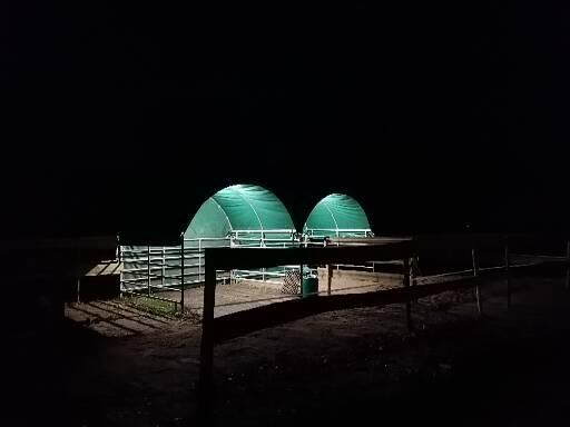 Aufzucht-Platz für Junghengst im Offenstall, Fiona Macom, Horse Stables, Ahrensbök , Image 9