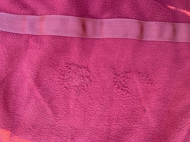 rote Abschwitzdecke, Größe 145, Mustang, Anna Friedrich, Horse Blankets, Sheets & Coolers, Kerken, Image 5