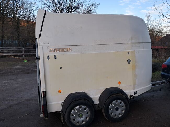 reduziert: Westfalia Jupiter zwei-Pferde-Anhänger, Westfalia Jupiter, Christine, Horse Trailers, Breitenfurt