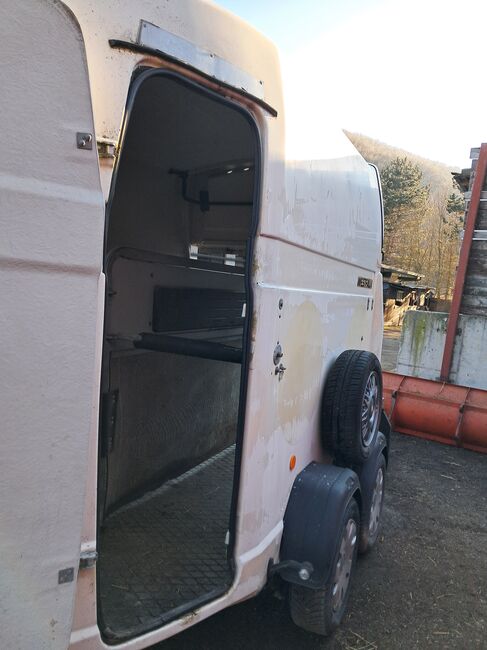 reduziert: Westfalia Jupiter zwei-Pferde-Anhänger, Westfalia Jupiter, Christine, Horse Trailers, Breitenfurt, Image 4
