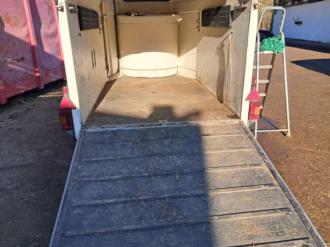 reduziert: Westfalia Jupiter zwei-Pferde-Anhänger, Westfalia Jupiter, Christine, Horse Trailers, Breitenfurt, Image 5