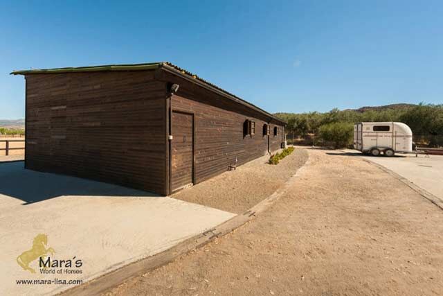 Ref2226 Andalusien, Alhaurin El Grande - Villa mit Pferdestall zu verkaufen!, Sabine Wesseln, Maras World of Horses (Maras World of Horses, Maras World Solutions S.L.), Equestrian Properties, Alhaurin El Grande, Image 3