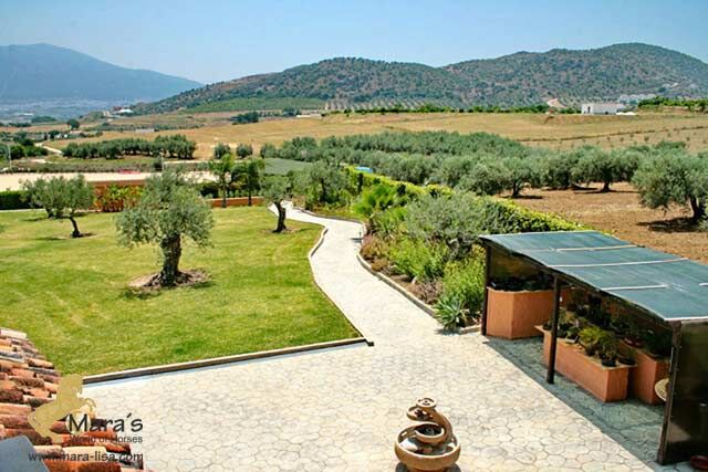 Ref2226 Andalusien, Alhaurin El Grande - Villa mit Pferdestall zu verkaufen!, Sabine Wesseln, Maras World of Horses (Maras World of Horses, Maras World Solutions S.L.), Equestrian Properties, Alhaurin El Grande, Image 6