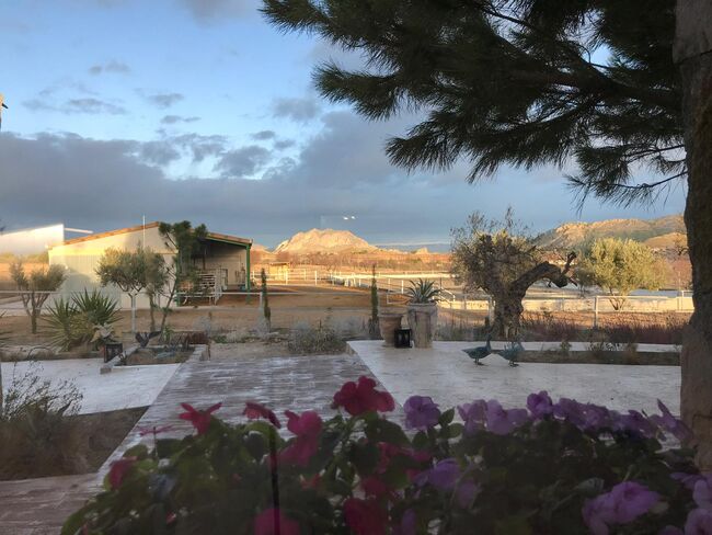 Ref2342 Andalusien, Provinz Murcia, Campo de Ricote - Traumfinca für Pferdefreunde!, Sabine Wesseln, Maras World of Horses (Maras World Solutions S.L.), Equestrian Properties, Campo de Ricote