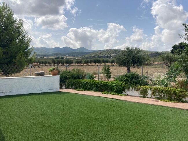 Ref2342 Andalusien, Provinz Murcia, Campo de Ricote - Traumfinca für Pferdefreunde!, Sabine Wesseln, Maras World of Horses (Maras World Solutions S.L.), Equestrian Properties, Campo de Ricote, Image 7