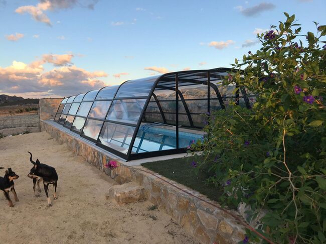 Ref2342 Andalusien, Provinz Murcia, Campo de Ricote - Traumfinca für Pferdefreunde!, Sabine Wesseln, Maras World of Horses (Maras World Solutions S.L.), Equestrian Properties, Campo de Ricote, Image 6