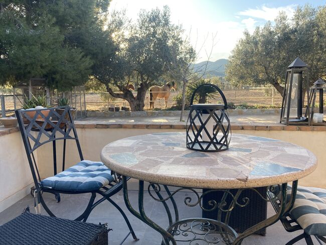 Ref2342 Andalusien, Provinz Murcia, Campo de Ricote - Traumfinca für Pferdefreunde!, Sabine Wesseln, Maras World of Horses (Maras World Solutions S.L.), Equestrian Properties, Campo de Ricote, Image 5