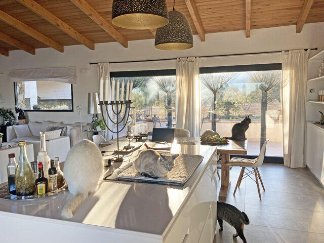 Ref2342 Provinz Murcia, Campo de Ricote - tolle Finca mit 2 Häusern und Pferdestall, Sabine Wesseln, Maras World of Horses (Maras World Solutions S.L.), Equestrian Properties, Campo de Ricote, Image 3