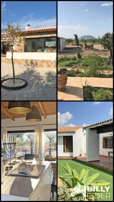 Ref2342 Provinz Murcia, Campo de Ricote - tolle Finca mit 2 Häusern und Pferdestall, Sabine Wesseln, Maras World of Horses (Maras World Solutions S.L.), Equestrian Properties, Campo de Ricote, Image 10
