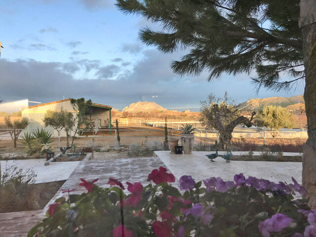 Ref2342 Provinz Murcia, Campo de Ricote - tolle Finca mit 2 Häusern und Pferdestall, Sabine Wesseln, Maras World of Horses (Maras World Solutions S.L.), Equestrian Properties, Campo de Ricote, Image 5