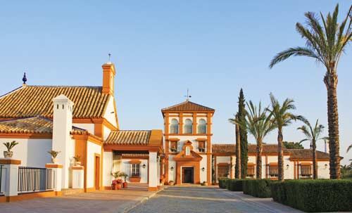 Ref2454 Andalusien, Sevilla - luxuriöses Landgut mit 506 Hektar zu verkaufen!, Sabine Wesseln, Maras World of Horses (Maras World of Horses, Maras World Solutions S.L.), Equestrian Properties, Sevilla, Image 3