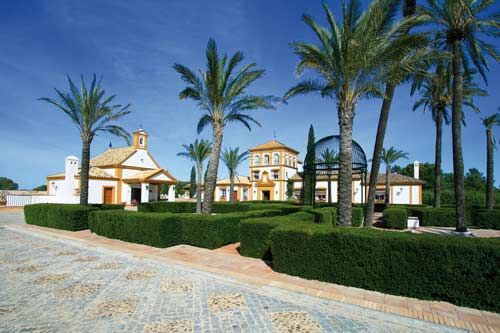 Ref2454 Andalusien, Sevilla - luxuriöses Landgut mit 506 Hektar zu verkaufen!, Sabine Wesseln, Maras World of Horses (Maras World of Horses, Maras World Solutions S.L.), Equestrian Properties, Sevilla, Image 2