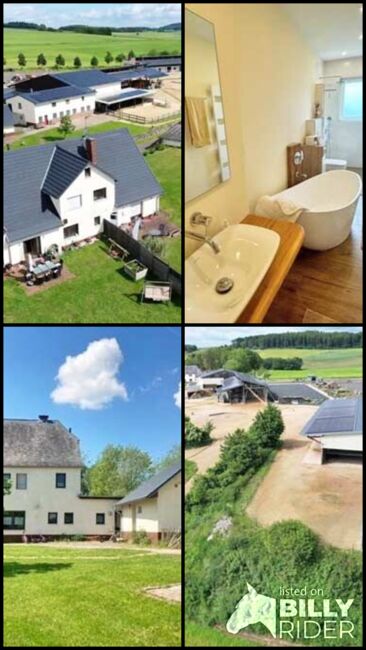 Ref2456MK - Rheinland Pfalz, Rhein-Lahn-Kreis, 56379 Dörnberg - Reitanlage Altivstall zu verkaufen, Sabine Wesseln, Maras World of Horses (Maras World of Horses, Maras World Solutions S.L.), Pferdeimmobilien, Dörnberg, Abbildung 13