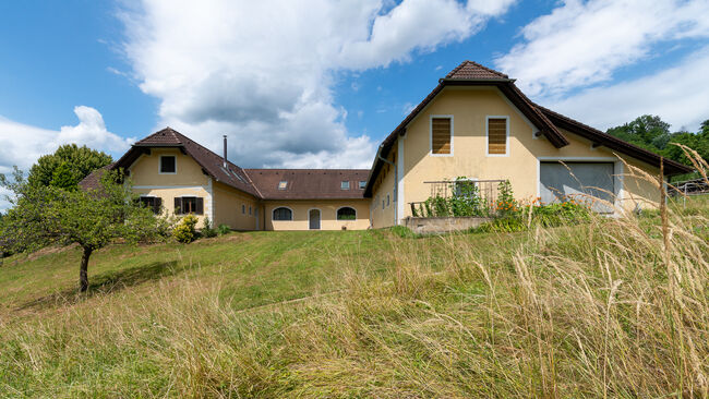 Ref2457CH Österreich, Steiermark, Edelsbach - Wohnung mit Pferdestall zu verkaufen, Sabine Wesseln, Maras World of Horses (Maras World Solutions S.L.), Equestrian Properties, Edelsbach