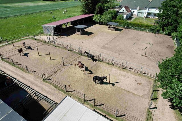 Ref2463MK NRW, Nordrhein Westfalen, Bad Oeynhausen - Reitimmobilie, Pferderanch zu verkaufen!, Sabine Wesseln, Maras World of Horses (Maras World of Horses, Maras World Solutions S.L.), Nieruchomości jeździeckie, Bad Oeynhausen, Image 4