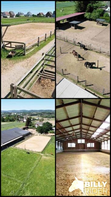 Ref2463MK NRW, Nordrhein Westfalen, Bad Oeynhausen - Reitimmobilie, Pferderanch zu verkaufen!, Sabine Wesseln, Maras World of Horses (Maras World of Horses, Maras World Solutions S.L.), Nieruchomości jeździeckie, Bad Oeynhausen, Image 5