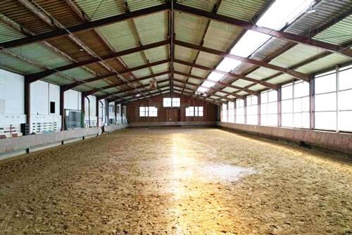 Ref2463MK NRW, Nordrhein Westfalen, Bad Oeynhausen - Reitimmobilie, Pferderanch zu verkaufen!, Sabine Wesseln, Maras World of Horses (Maras World of Horses, Maras World Solutions S.L.), Nieruchomości jeździeckie, Bad Oeynhausen, Image 3