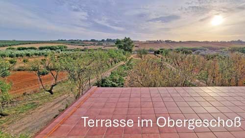 Ref2504 Andalusien, Provinz Huelva, Rociana del Condado - Finca, Haus mit 4 ha Land zu verkaufen, Sabine Wesseln, Maras World of Horses (Maras World of Horses, Maras World Solutions S.L.), Nieruchomości jeździeckie, Rociana del Condado, Image 3