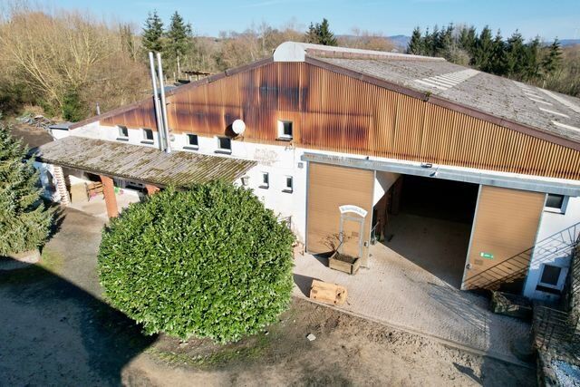 Ref2509MK Rheinland Pfalz, Westerwald, 56479 Elsoff - Reitanlage zu verkaufen, Sabine Wesseln, Maras World of Horses (Maras World of Horses, Maras World Solutions S.L.), Nieruchomości jeździeckie, Elsoff, Image 5