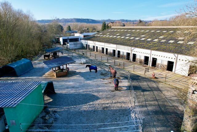 Ref2509MK Rheinland Pfalz, Westerwald, 56479 Elsoff - Reitanlage zu verkaufen, Sabine Wesseln, Maras World of Horses (Maras World of Horses, Maras World Solutions S.L.), Nieruchomości jeździeckie, Elsoff, Image 2