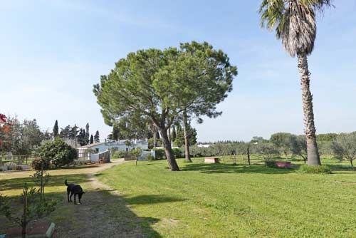 Ref2511MW Andalusien, Costa de la Luz, Conil de la Frontera - Gästefinca mit Pool + Stall, Sabine Wesseln, Maras World of Horses (Maras World of Horses, Maras World Solutions S.L.), Equestrian Properties, Conil de la Frontera, Image 8