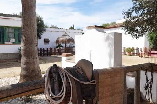 Ref2511MW Andalusien, Costa de la Luz, Conil de la Frontera - Gästefinca mit Pool + Stall, Sabine Wesseln, Maras World of Horses (Maras World of Horses, Maras World Solutions S.L.), Pferdeimmobilien, Conil de la Frontera, Abbildung 11