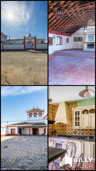 Ref2525FS Andalusien, nahe Sevilla - authentischer Cortijo zu verkaufen!, Sabine Wesseln, Maras World of Horses (Maras World of Horses, Maras World Solutions S.L.), Equestrian Properties, La Puebla de Cazalla, Image 9