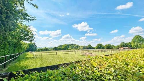 Ref2528AM NRW, Nordrhein-Westfalen, nahe Bielefeld - superschöne Reitanlage zu verkaufen!, Sabine Wesseln, Maras World of Horses (Maras World of Horses, Maras World Solutions S.L.), Pferdeimmobilien, Bielefeld, Abbildung 8