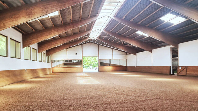 Ref2528AM NRW, Nordrhein-Westfalen, nahe Bielefeld - superschöne Reitanlage zu verkaufen!, Sabine Wesseln, Maras World of Horses (Maras World of Horses, Maras World Solutions S.L.), Pferdeimmobilien, Bielefeld, Abbildung 4