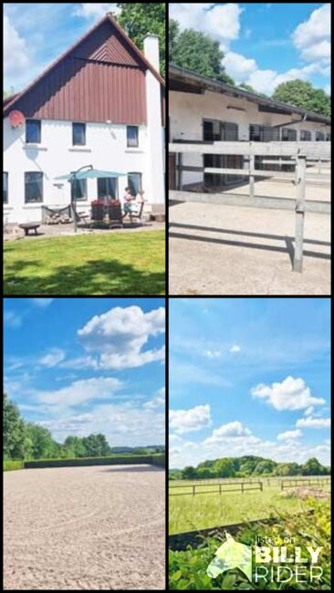 Ref2528AM NRW, Nordrhein-Westfalen, nahe Bielefeld - superschöne Reitanlage zu verkaufen!, Sabine Wesseln, Maras World of Horses (Maras World of Horses, Maras World Solutions S.L.), Pferdeimmobilien, Bielefeld, Abbildung 9