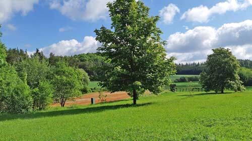 Ref2529 Bayern, Oberfranken, fränkische Schweiz - elegantes private Reitimmobilie zu verkaufen!, Sabine Wesseln, Maras World of Horses (Maras World of Horses, Maras World Solutions S.L.), Equestrian Properties, Gößweinstein, Image 2