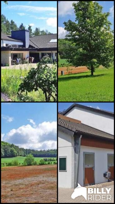 Ref2529 Bayern, Oberfranken, fränkische Schweiz - elegantes private Reitimmobilie zu verkaufen!, Sabine Wesseln, Maras World of Horses (Maras World of Horses, Maras World Solutions S.L.), Equestrian Properties, Gößweinstein, Image 7