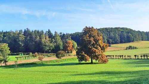 Ref2529 Bayern, Oberfranken, fränkische Schweiz - elegantes private Reitimmobilie zu verkaufen!, Sabine Wesseln, Maras World of Horses (Maras World of Horses, Maras World Solutions S.L.), Equestrian Properties, Gößweinstein, Image 3