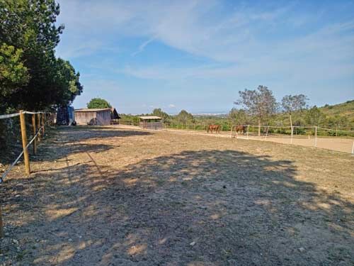 Ref2531 Spanien, Valencia, Monserrat - Finca mit Pferdehaltung zu verkaufen!, Sabine Wesseln, Maras World of Horses (Maras World of Horses, Maras World Solutions S.L.), Equestrian Properties, Chiclana de la Frontera, Image 7