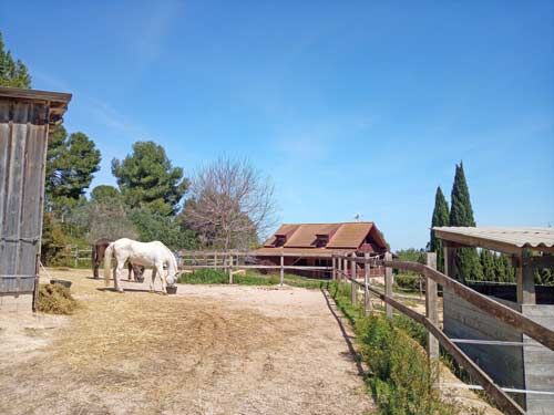 Ref2531 Spanien, Valencia, Monserrat - Finca mit Pferdehaltung zu verkaufen!, Sabine Wesseln, Maras World of Horses (Maras World of Horses, Maras World Solutions S.L.), Equestrian Properties, Chiclana de la Frontera, Image 5