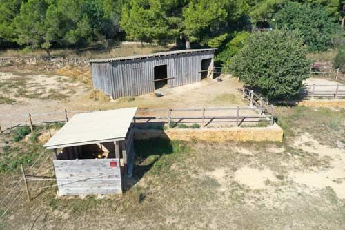 Ref2531 Spanien, Valencia, Monserrat - Finca mit Pferdehaltung zu verkaufen!, Sabine Wesseln, Maras World of Horses (Maras World of Horses, Maras World Solutions S.L.), Equestrian Properties, Chiclana de la Frontera, Image 4