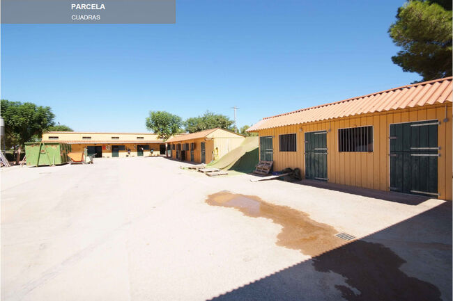Ref2535SG Spanien, Valencia, Bétera - elegante Villa mit Reitstall zu verkaufen!, Sabine Wesseln, Maras World of Horses (Maras World Solutions S.L.), Equestrian Properties, Bétera, Image 3