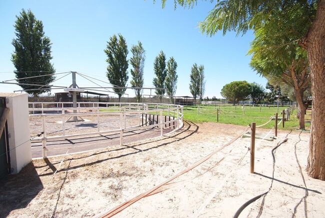 Ref2535SG Spanien, Valencia, Bétera - elegante Villa mit Reitstall zu verkaufen!, Sabine Wesseln, Maras World of Horses (Maras World Solutions S.L.), Equestrian Properties, Bétera, Image 5