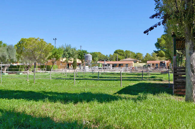Ref2535SG Spanien, Valencia, Bétera - elegante Villa mit Reitstall zu verkaufen!, Sabine Wesseln, Maras World of Horses (Maras World Solutions S.L.), Equestrian Properties, Bétera, Image 6