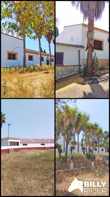 Ref2536M Andalusien, Arcos de la Frontera - Finca mit Stierkampfarena, Gewerbehallen, Reitplatz .., Sabine Wesseln, Maras World of Horses (Maras World Solutions S.L.), Equestrian Properties, Chiclana de la Frontera, Image 10