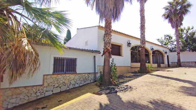 Ref2536M Andalusien, Arcos de la Frontera - Finca mit Stierkampfarena, Gewerbehallen, Reitplatz .., Sabine Wesseln, Maras World of Horses (Maras World Solutions S.L.), Equestrian Properties, Chiclana de la Frontera, Image 7