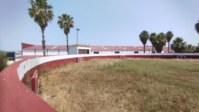 Ref2536M Andalusien, Arcos de la Frontera - Finca mit Stierkampfarena, Gewerbehallen, Reitplatz .., Sabine Wesseln, Maras World of Horses (Maras World Solutions S.L.), Equestrian Properties, Chiclana de la Frontera, Image 6